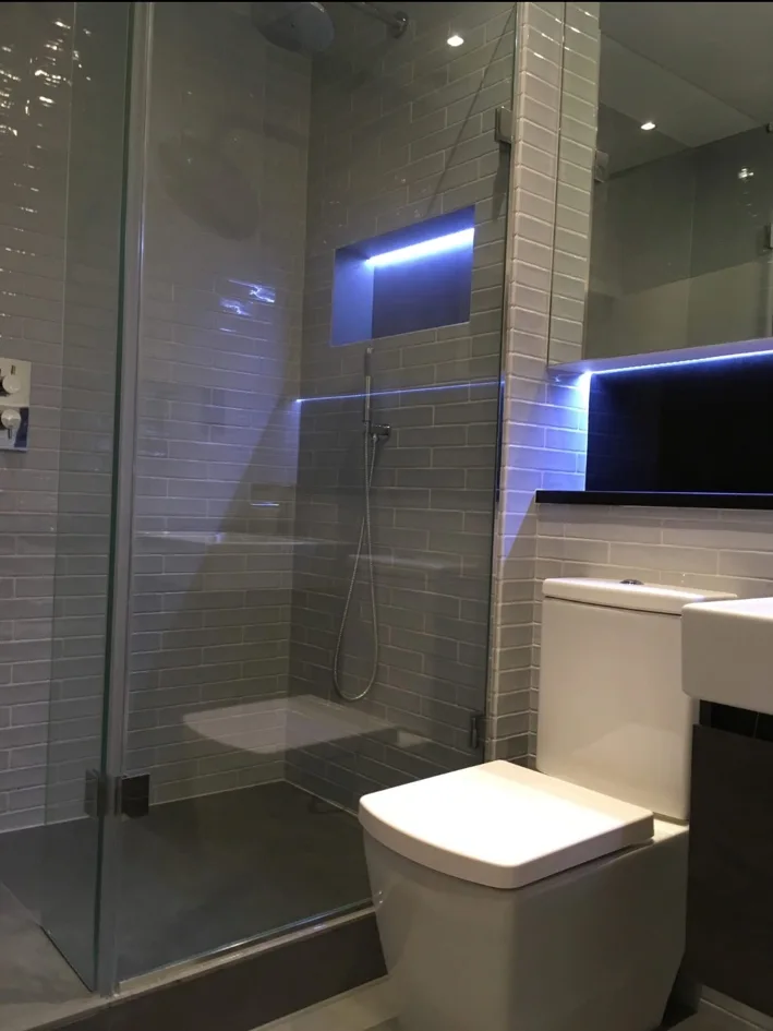 Contemporary Shower